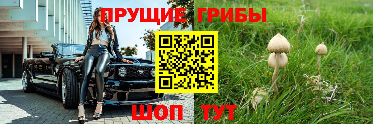 Псилоцибиновые грибы Psilocybine cubensis  Вход с VPN  Кызыл 