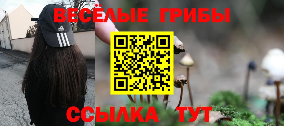 Псилоцибиновые грибы мухоморы Кызыл